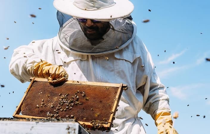 Veterans use beekeeping to improve well being - VA News